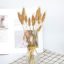 Real Dried Flower Artificial Flower Ginger 55cm, 1 Bundle ( 20 PCs/Bundle)