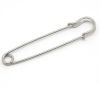 Imagen de Broches Aleación yTono de Plata 10cm x 18mm, 1 Unidad