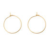 Picture of Stainless Steel Hoop Earrings Round 