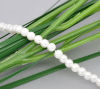 Picture of Glass Pearl Imitation Beads Round
