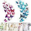 Picture of Home Decor Wall Decal Sticker Multicolor Butterfly Animal
