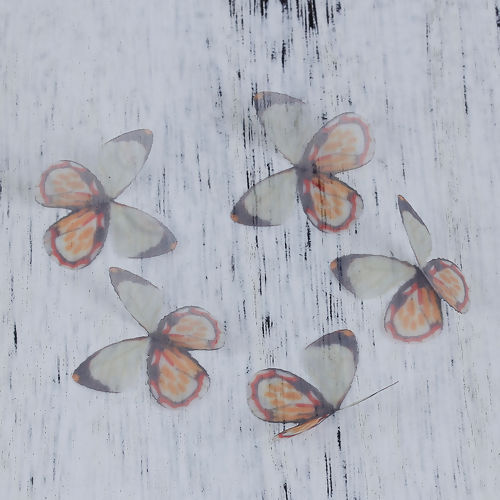 Image de Papillon Éthéré en Organza 