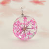 Picture of Real Dried Flower Transparent Glass Globe Bubble Bottle Charms 