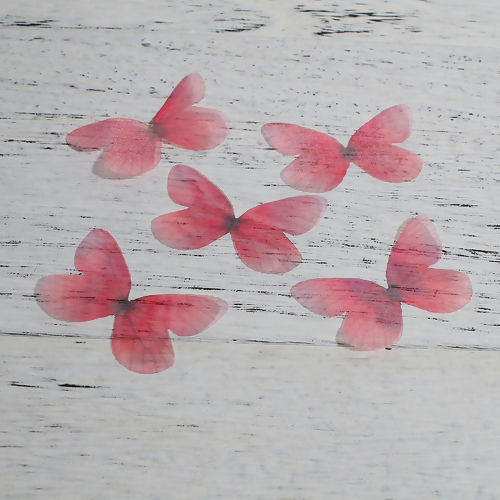 Image de Papillon Éthéré en Organza     