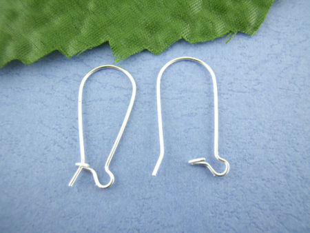 Alloy Kidney Ear Wire Hooks Earring Findings 