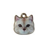 Immagine di Lega di Zinco Charms Gatto Oro Placcato Bianco 13mm x 13mm , 10 Pz