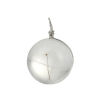 Picture of Transparent Glass Globe Bubble Bottle Charms Dandelion Dried Flower