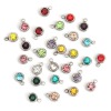 Picture of Stainless Steel Glass Charms Round Faceted