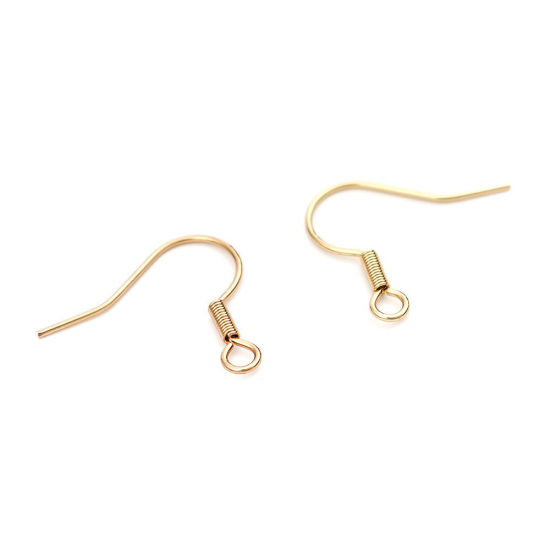 Picture of Stainless Steel Ear Wire Hooks Earring Findings Hook W/ Loop 