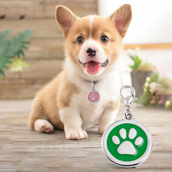Immagine di Zinc Based Alloy Pet Memorial Silver Tone 2 PCs