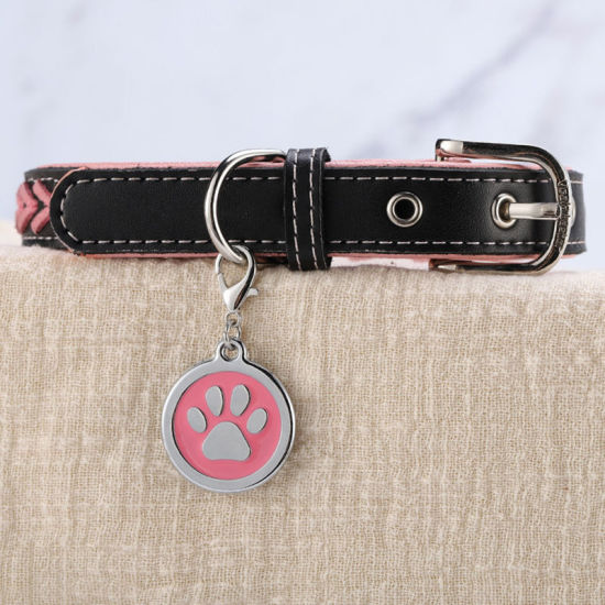 Immagine di Zinc Based Alloy Pet Memorial Silver Tone 2 PCs