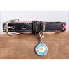 Immagine di Zinc Based Alloy Pet Memorial Silver Tone 2 PCs