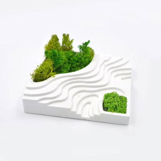 Image de Moule en Silicone 1 Pièce