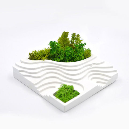 Image de Moule en Silicone 1 Pièce