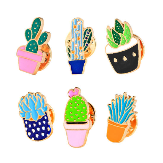 Image de Broche Epingle Plante Succulente 1 Pièce