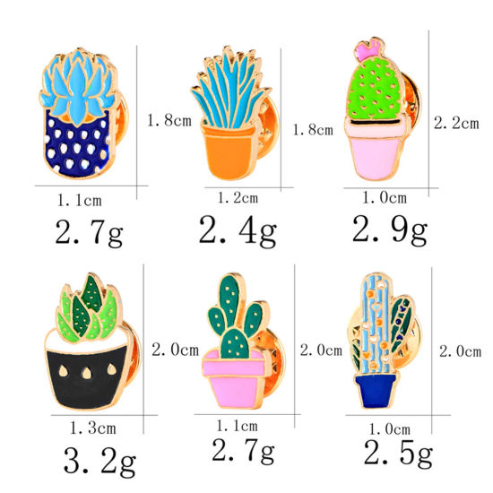 Image de Broche Epingle Plante Succulente 1 Pièce