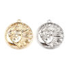 Image de Breloques en Laiton 2 Pcs