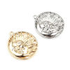 Image de Breloques en Laiton 2 Pcs