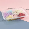 Picture of Dried Flower Decoration Multicolor 17cm x 12cm, 1 Packet