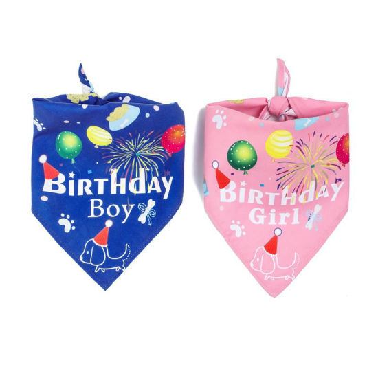Cute Pet Products Multicolor Scarf Hat の画像