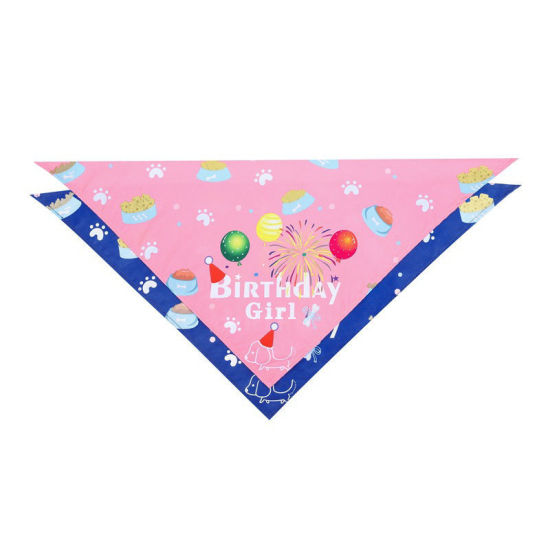 Cute Pet Products Multicolor Scarf Hat の画像
