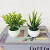 Imagen de Plastic Artificial Potted Plants Home Decoration