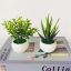Plastic Artificial Potted Plants Home Decoration