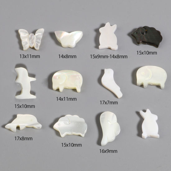 Image de Perles en Coquille Animal Multicolore 5 Pcs