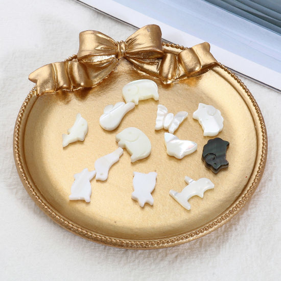 Image de Perles en Coquille Animal Multicolore 5 Pcs