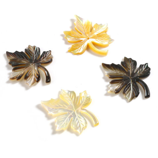 天然 シェル ペンダント 紅葉 多色 30mm x 25mm、 1 個 の画像