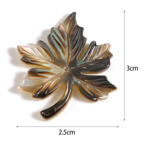 天然 シェル ペンダント 紅葉 多色 30mm x 25mm、 1 個 の画像