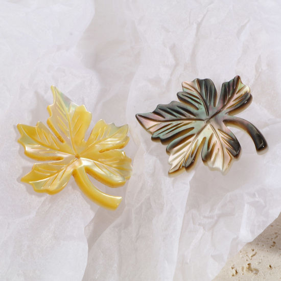 天然 シェル ペンダント 紅葉 多色 30mm x 25mm、 1 個 の画像