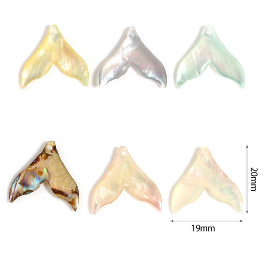 天然 シェル チャーム マチャプチャレベースキャンプ 多色 20mm x 19mm、 2 個 の画像