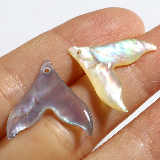 天然 シェル チャーム マチャプチャレベースキャンプ 多色 20mm x 19mm、 2 個 の画像