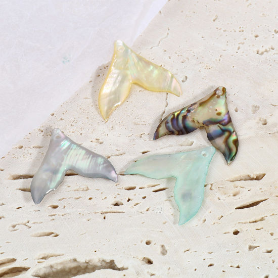 天然 シェル チャーム マチャプチャレベースキャンプ 多色 20mm x 19mm、 2 個 の画像
