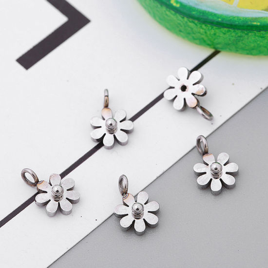 Image de Breloques en Acier Inoxydable Mixte Argent Mat 1 Pièce
