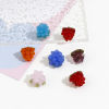 Picture of Lampwork Glass 3D Beads Grape Fruit Multicolor About 13mm x 12mm