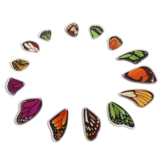 Image de Breloques en Acrylique Insecte Aile de Papillon Multicolore 10 Pcs