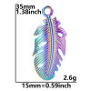 Picture of 304 Stainless Steel Charms Multicolor Feather 35mm x 15mm