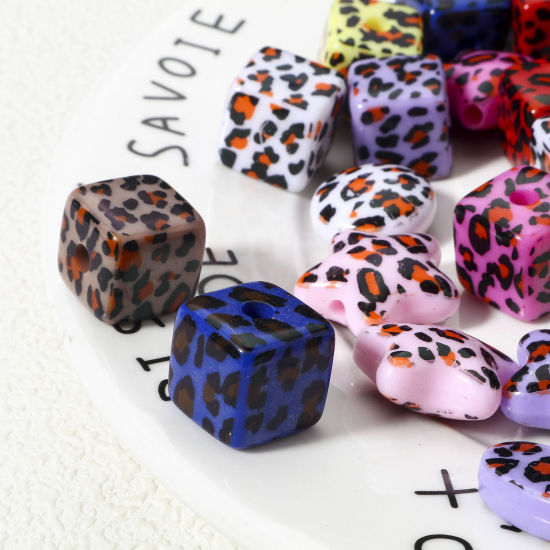 Image de 10 Pcs Perles pour DIY Fabrication de Bijoux en Acrylique Couleur Mélangée Au Hasard Géométrique Léopard
