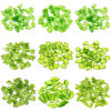 Imagen de 100 Unidades Acrílico Colgantes Charms Hoja Verde Transparente