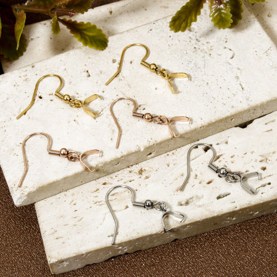Picture of 10 PCs 304 Stainless Steel Ear Wire Hooks Earrings For DIY Jewelry Making Accessories With Pinch Clip