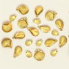 Bild von 100 Stück 304 Edelstahl Charms Muschel