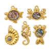 Picture of Eco-friendly PVD Vacuum Plating 304 Stainless Steel & Natural Shell Ocean Jewelry Charms 18K Real Gold Plated