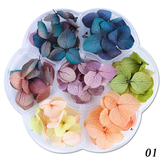 Image de Décoration des Ongles en Fleurs Séchées Mixte, 1 Boîte ( 45 - 50 Pcs/Boîte)