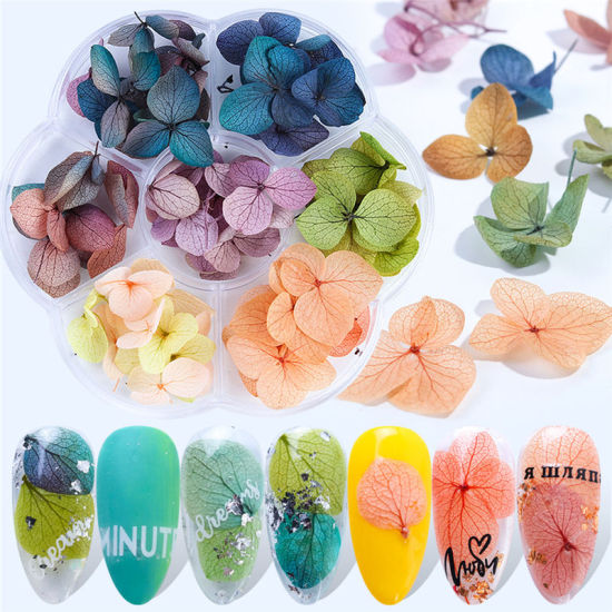 Image de Décoration des Ongles en Fleurs Séchées Mixte, 1 Boîte ( 45 - 50 Pcs/Boîte)