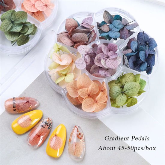 Image de Décoration des Ongles en Fleurs Séchées Mixte, 1 Boîte ( 45 - 50 Pcs/Boîte)