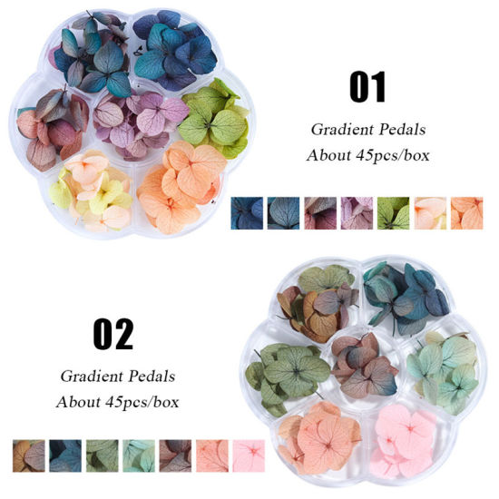 Image de Décoration des Ongles en Fleurs Séchées Mixte, 1 Boîte ( 45 - 50 Pcs/Boîte)