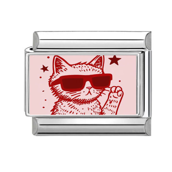 Image de 1 Pièce Bracelet à Maillons Breloques Italiens Accessories de Fabrication de Bracelets Bijoux DIY Exquis en 304 Acier Inoxydable Argent Mat Rose Rectangle Chats 10mm x 9mm
