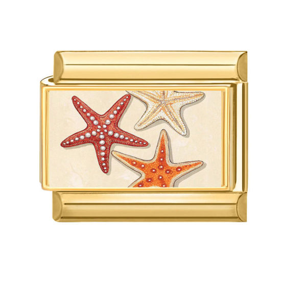 Picture of 1 Piece 304 Stainless Steel Ocean Jewelry Italian Charm Links For DIY Bracelet Jewelry Making Wholesale Gold Plated Multicolor Rectangle Star Fish 10mm x 9mm